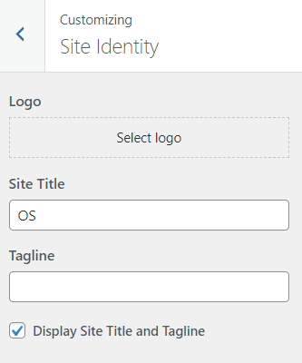 wordpress customizer site identity