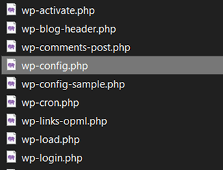 wordpress debugging config file