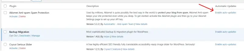 wordpress plugins auto enable