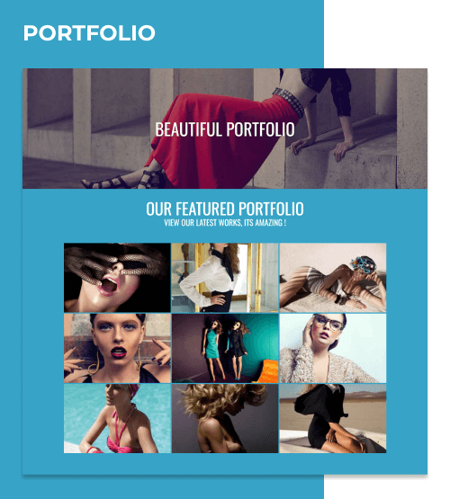 one page wordpress theme Team