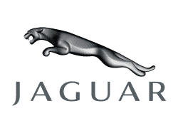 jaguarC5775FA2-1D0D-EA7B-E2BD-1B0BC13E67AC.png