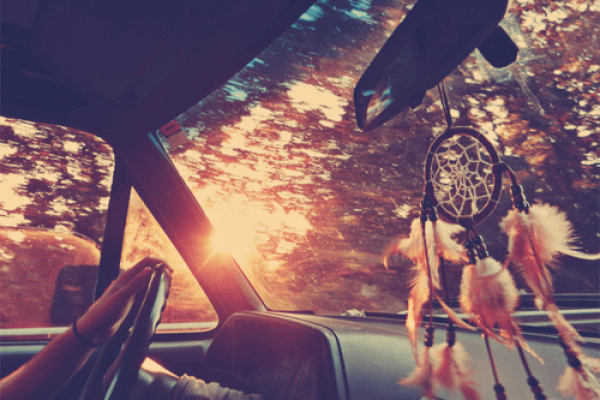 6020905-orig-14D873A98-B4F9-82D8-481E-B5B01406BF88.png