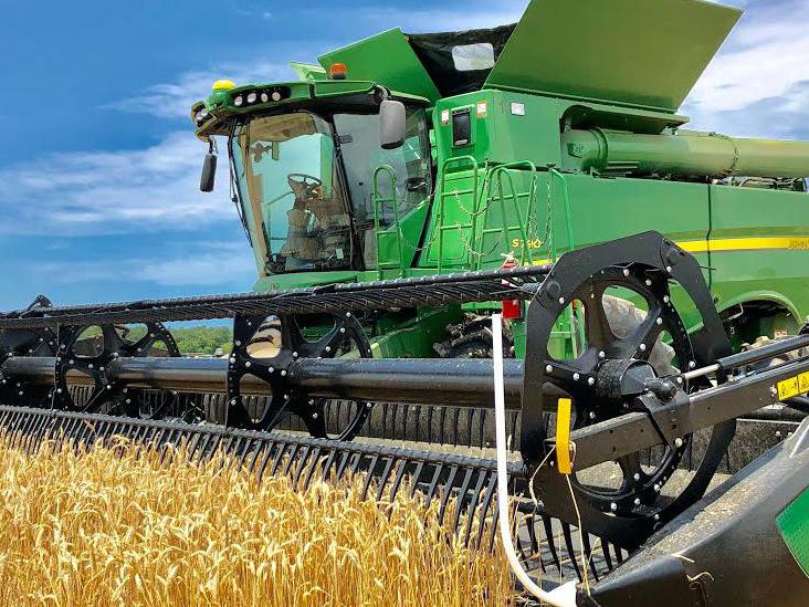 Wheat Harvest 2020