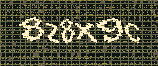 CAPTCHA_picture