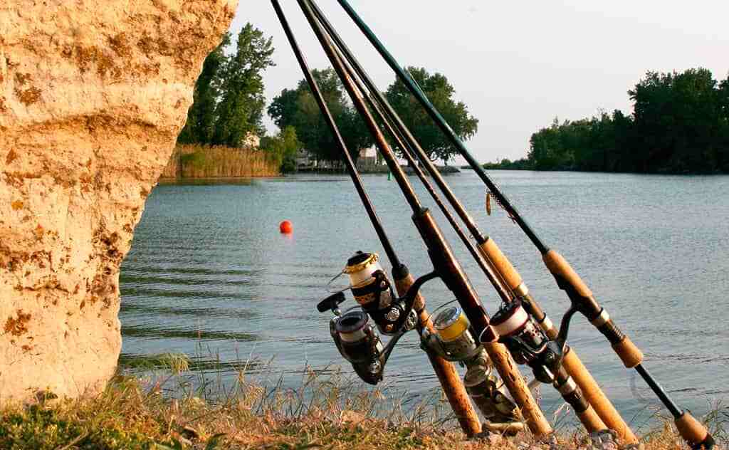 The best rods according to professionals