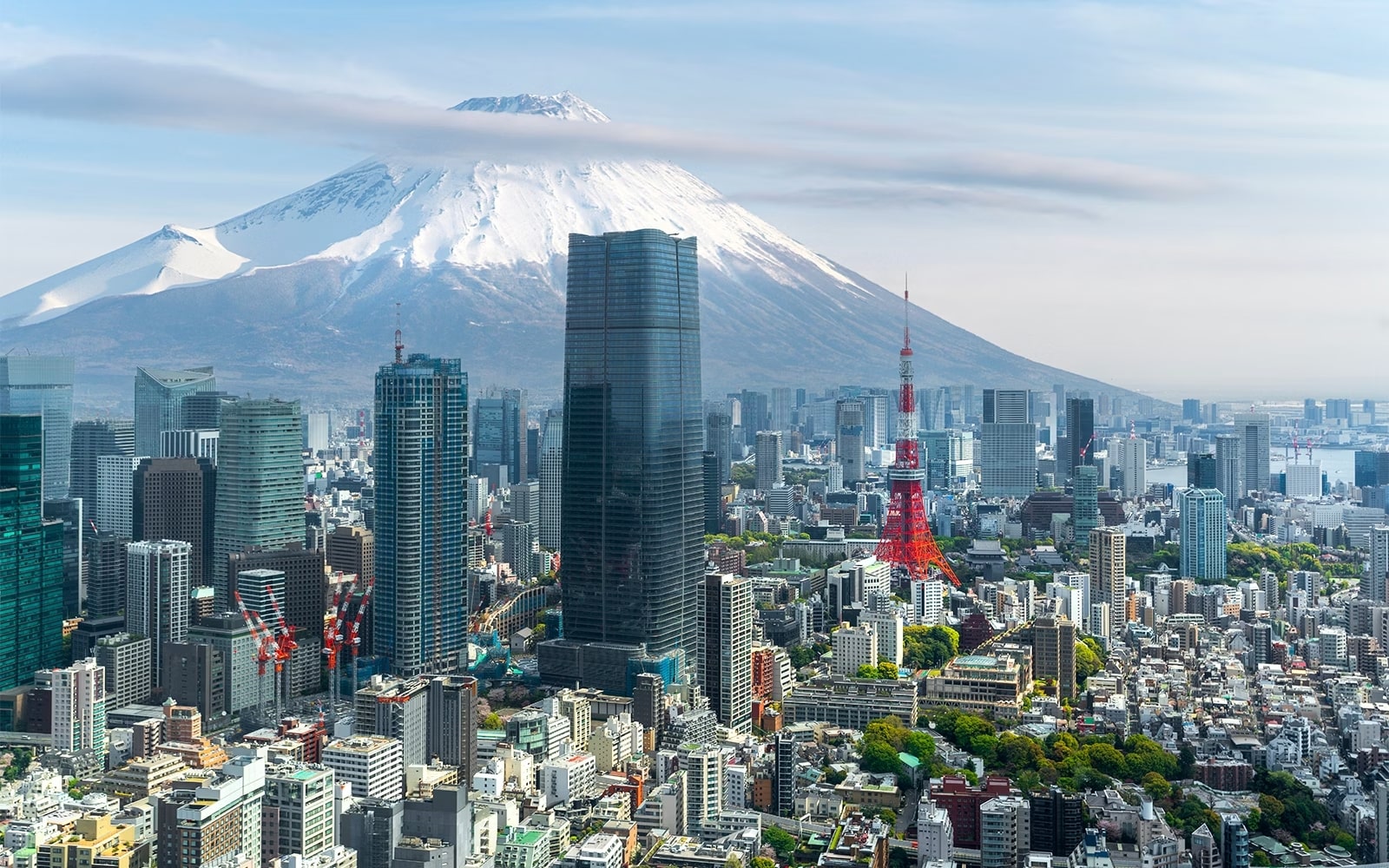 Tokyo Tales