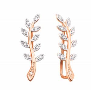 Earrings 5674