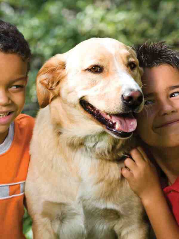 children-pet-dog69C9F6C8-F412-D75D-DDFF-4512D761EF46.jpg