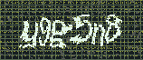 CAPTCHA_picture