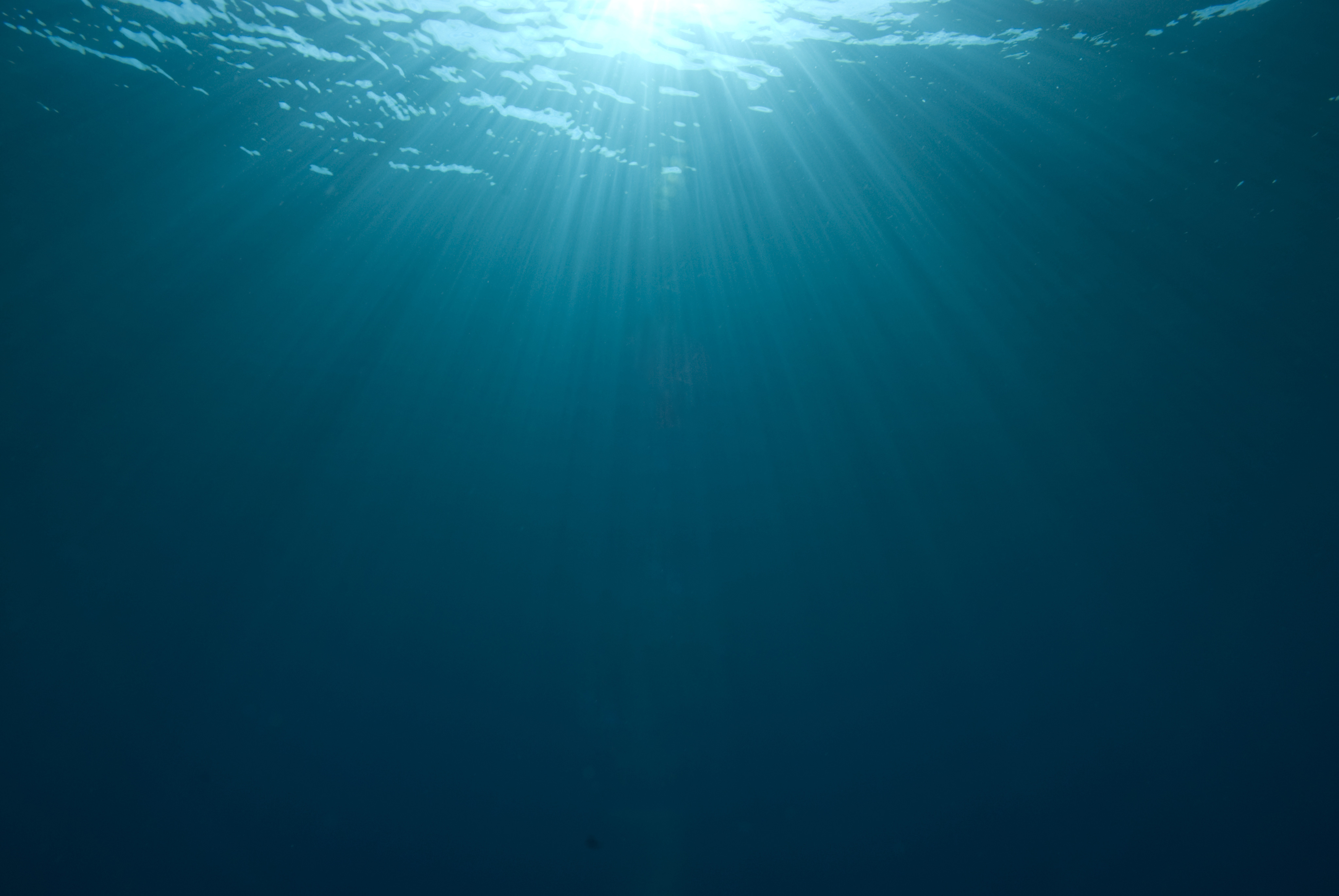 underwater-sunlight-filteringweb311234C1-0310-13B0-A5E4-9C925877415B.jpg