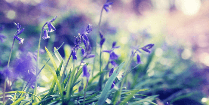 slider-gorizontal-21F04D43B-AFE0-8CB2-C8D7-49EB538A2D1F.png