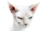 slider-54C567428-6264-A803-9007-A28A1764C8BD.jpg 