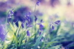 slider-gorizontal-21F04D43B-AFE0-8CB2-C8D7-49EB538A2D1F.png 