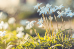 slider-gorizontal-4B546CAED-4D43-849C-8032-3E70742C93E8.png 