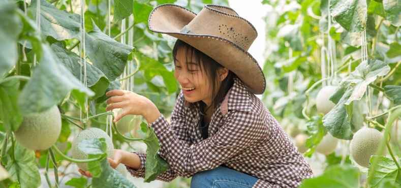 Transform your nutrition with organic meal