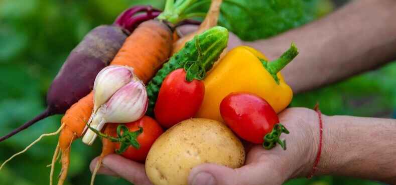 Develop your health by organic eating