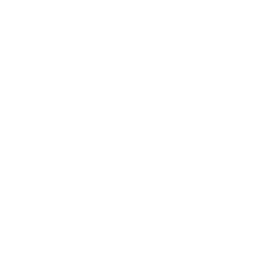 icon-category